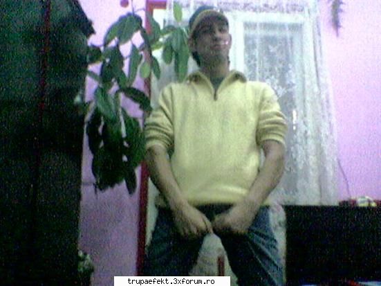 cosmin hal fanii putin spus