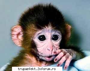 poze toata cand eram mai mic