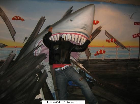 poze toata auzi bai bagi seama musca cacat aici forum ,taci din gura este bine ,faci baga poze tine