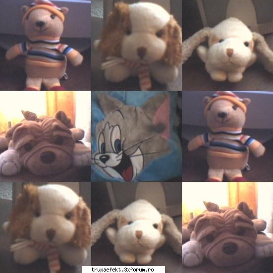 poze toata ziua tatalui meu