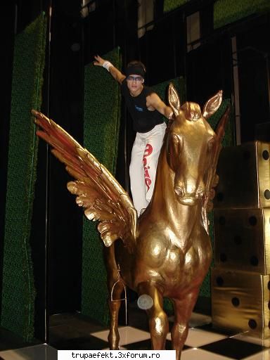 poze toata lumea... calul,lui zorro tornado